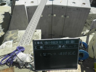 RIMG0004.JPG