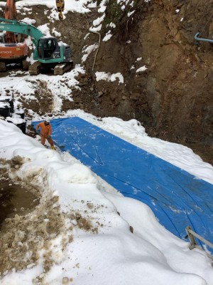 IMG_3456.jpg