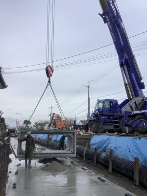 IMG_8460.jpg